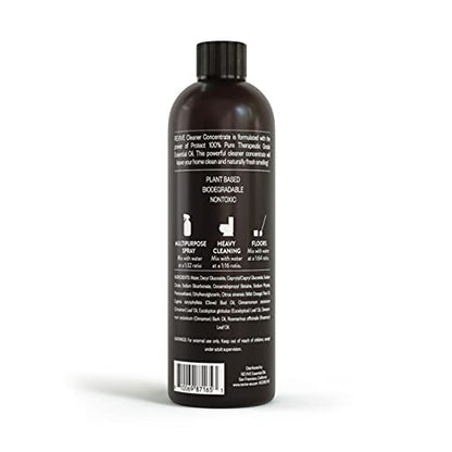 Protect Cleaner Concentrate Multi (12 Fl Oz)
