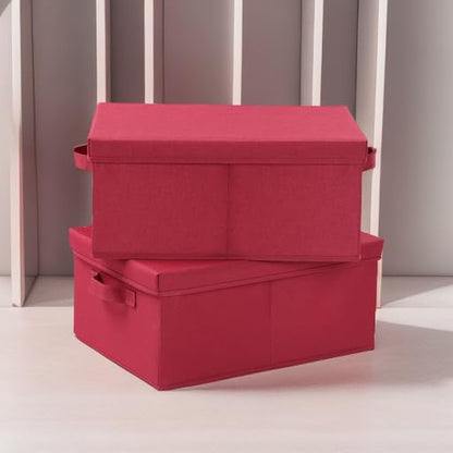Storage Bins with Lids for Organizing (2 Count)