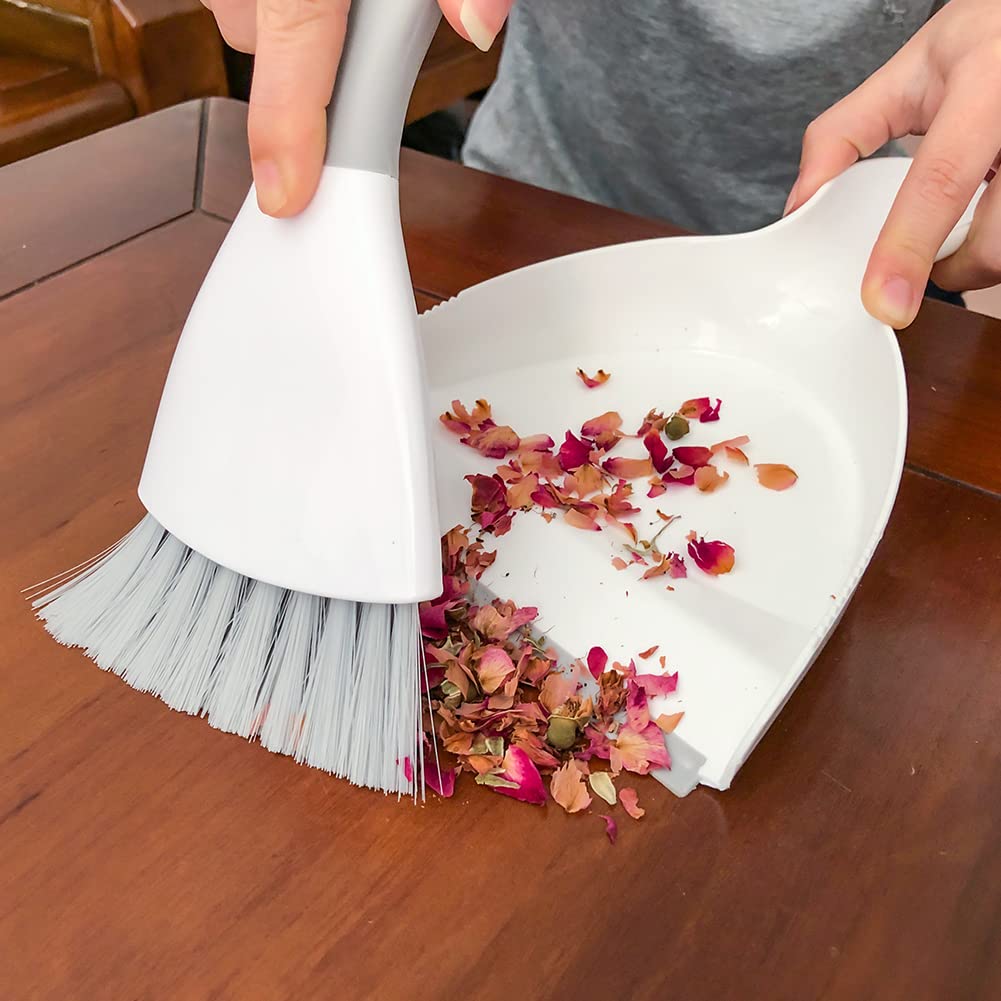 Small Hand Dust Pan and Brush