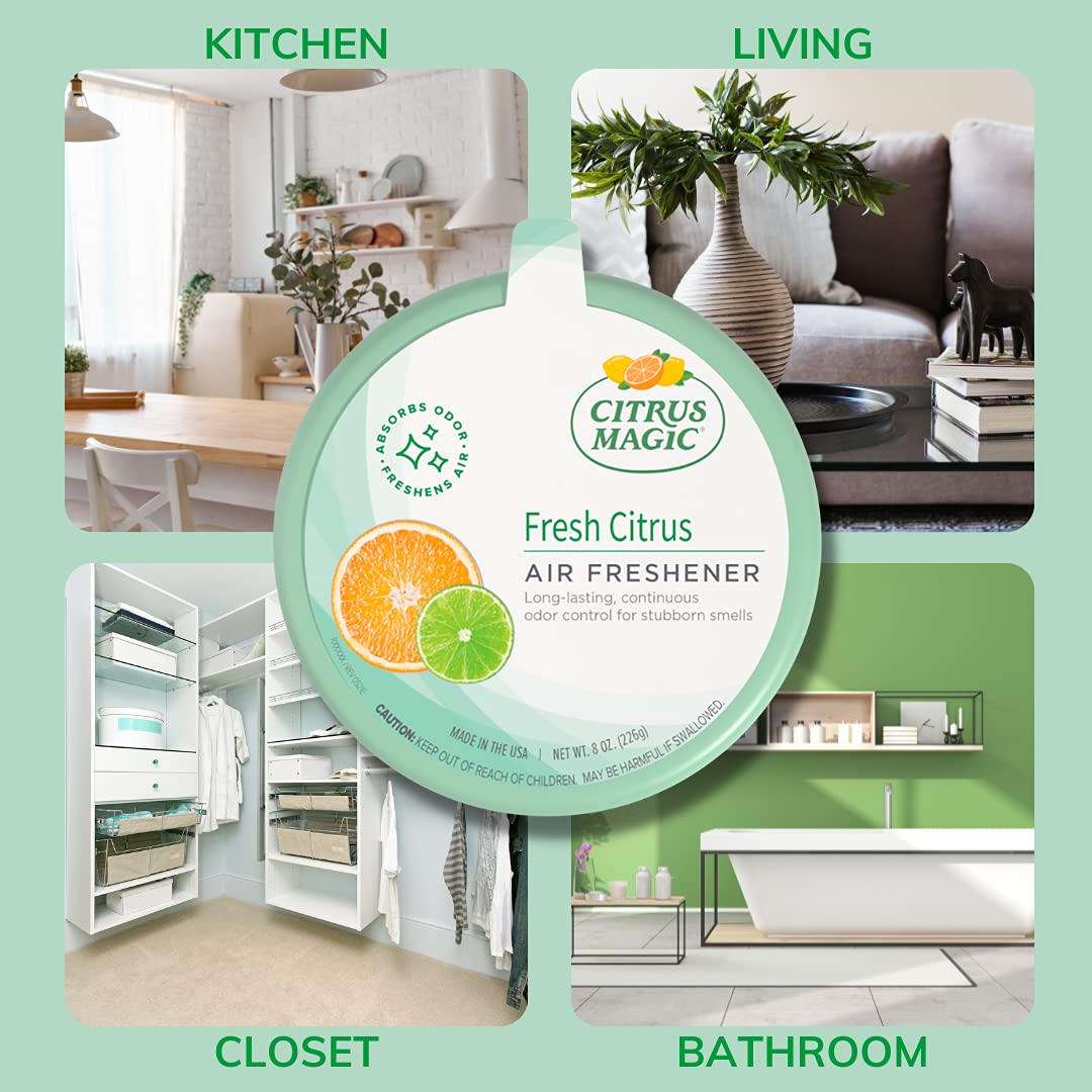 Solid Air Fresheners (8 Ounce)