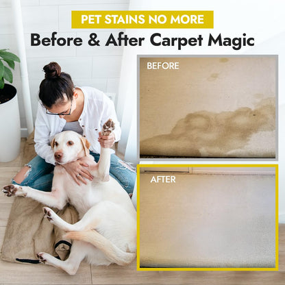 Enzyme Cleaner for Pet Urine (32 Fl Oz)
