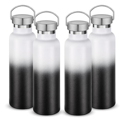 20 oz Insulated Water Bottles Bulk 4 Pack (4 Count)