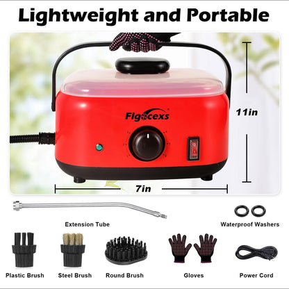 Steam Cleaner for Home