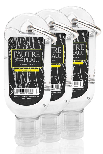Travel Hand Sanitizer Gel (3 Fl Oz)