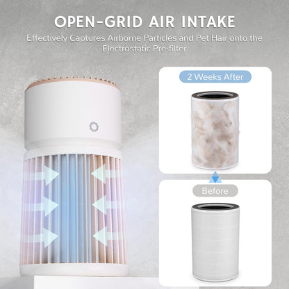H13 HEPA Air Purifier Up to 2000 sq.ft