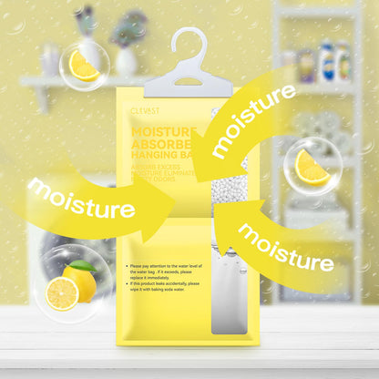 Moisture Absorbers Packets 10 Pack (10 Count)