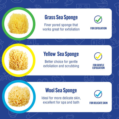 Natural Baby Bath Sponge 4in Soft Grass Sea Sponge Soft on Baby's Tender Skin