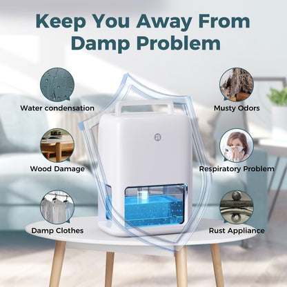 60 OZ Dehumidifiers for Home