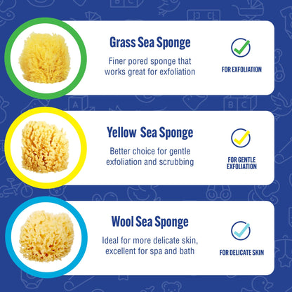 Absorbent Natural Bath Sponge (4 Count)