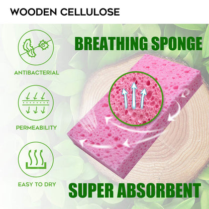 Compressed Cellulose Kitchen Sponges 24Pack (24 Count)