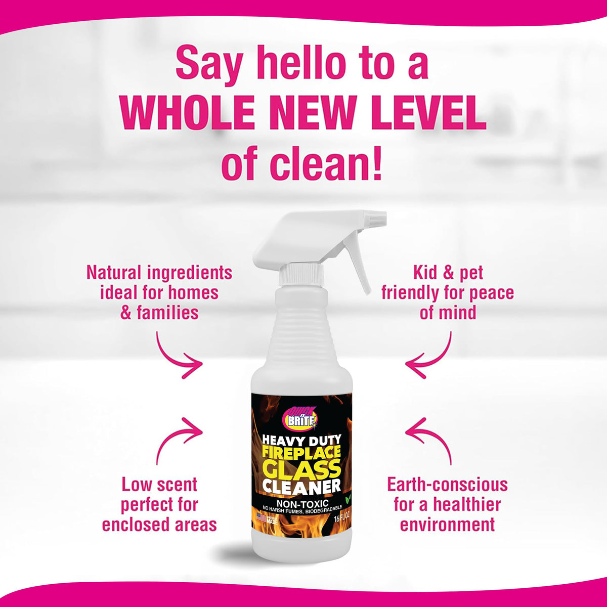 Fireplace Glass Cleaner Kit (16 Fl Oz)