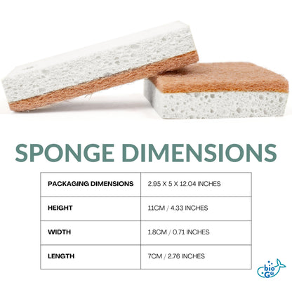 White 12 Pack Biodegradable Kitchen Sponge (12 Count)