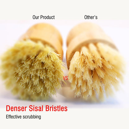 Vegetable & Dish Brush Set (2 Count)