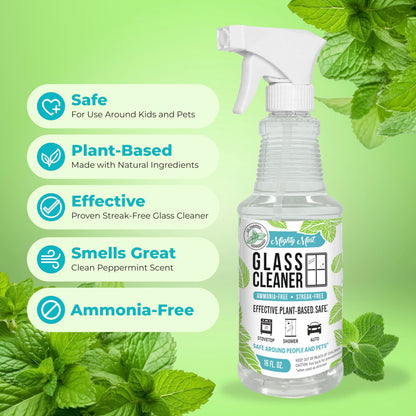 Glass Cleaner (16 Fl Oz)