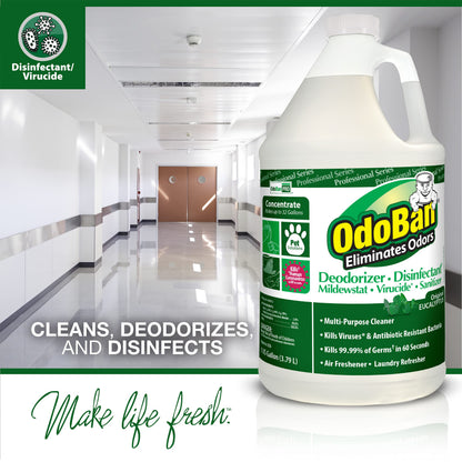 Professional Disinfectant and Odor Eliminator Concentrate (128 Fl Oz)