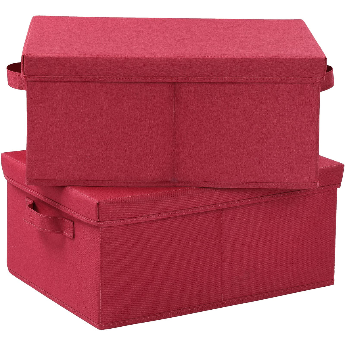 Storage Bins with Lids for Organizing (2 Count)
