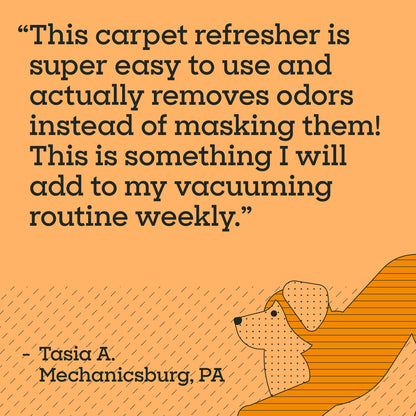 Carpet Deodorizer Powder (16 Ounce)
