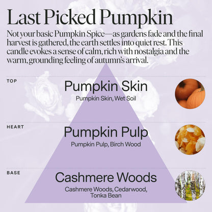 Siblings Candle Refill Kit Last Picked Pumpkin Spice Scent