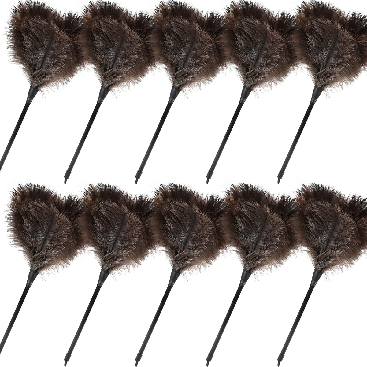 Ostrich Feather Duster (10 Count)