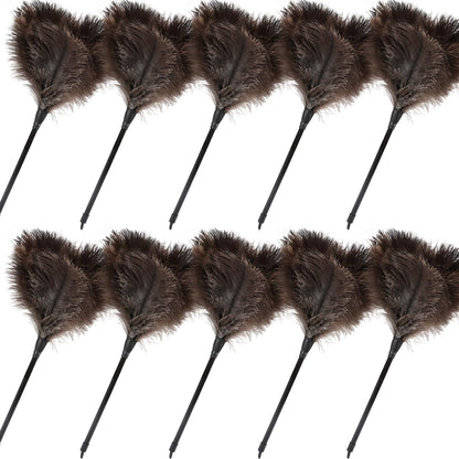 Ostrich Feather Duster (10 Count)