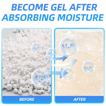 100 Gram 10 Packs Moisture Absorbers