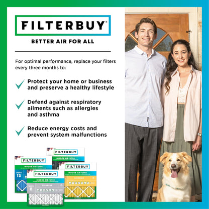12x24x4 Air Filter MERV 11 Pet & Allergy Defense (4 Count)