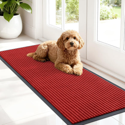 Front Door Mat 47x17