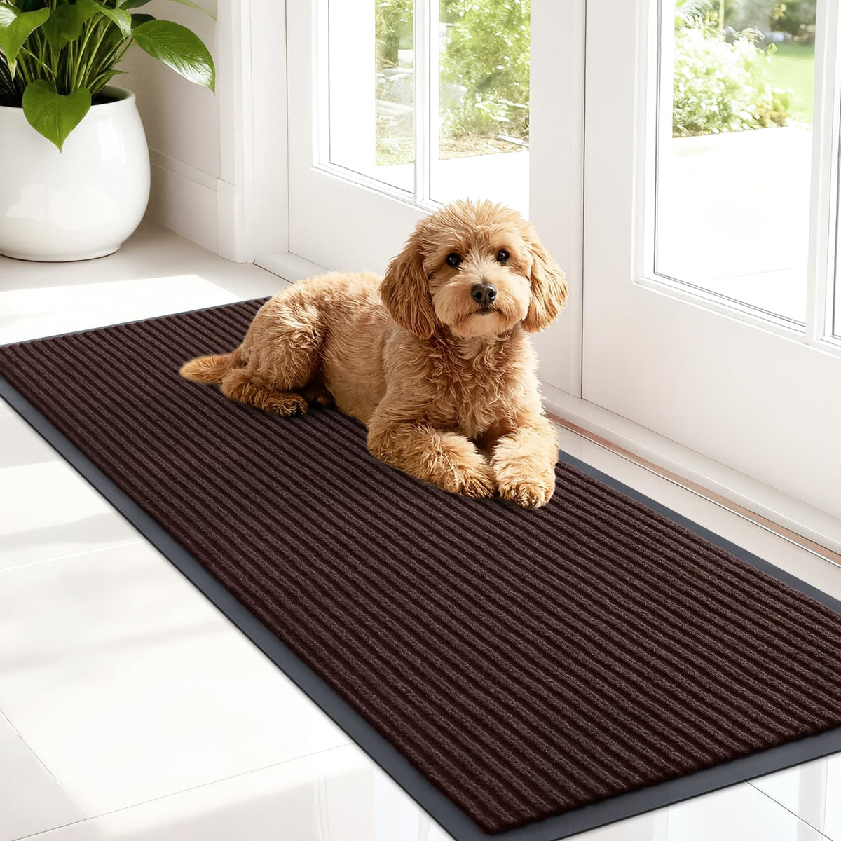 Front Door Mat 47x17