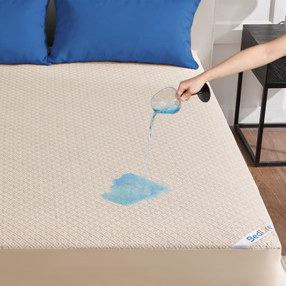 Queen Mattress Protector