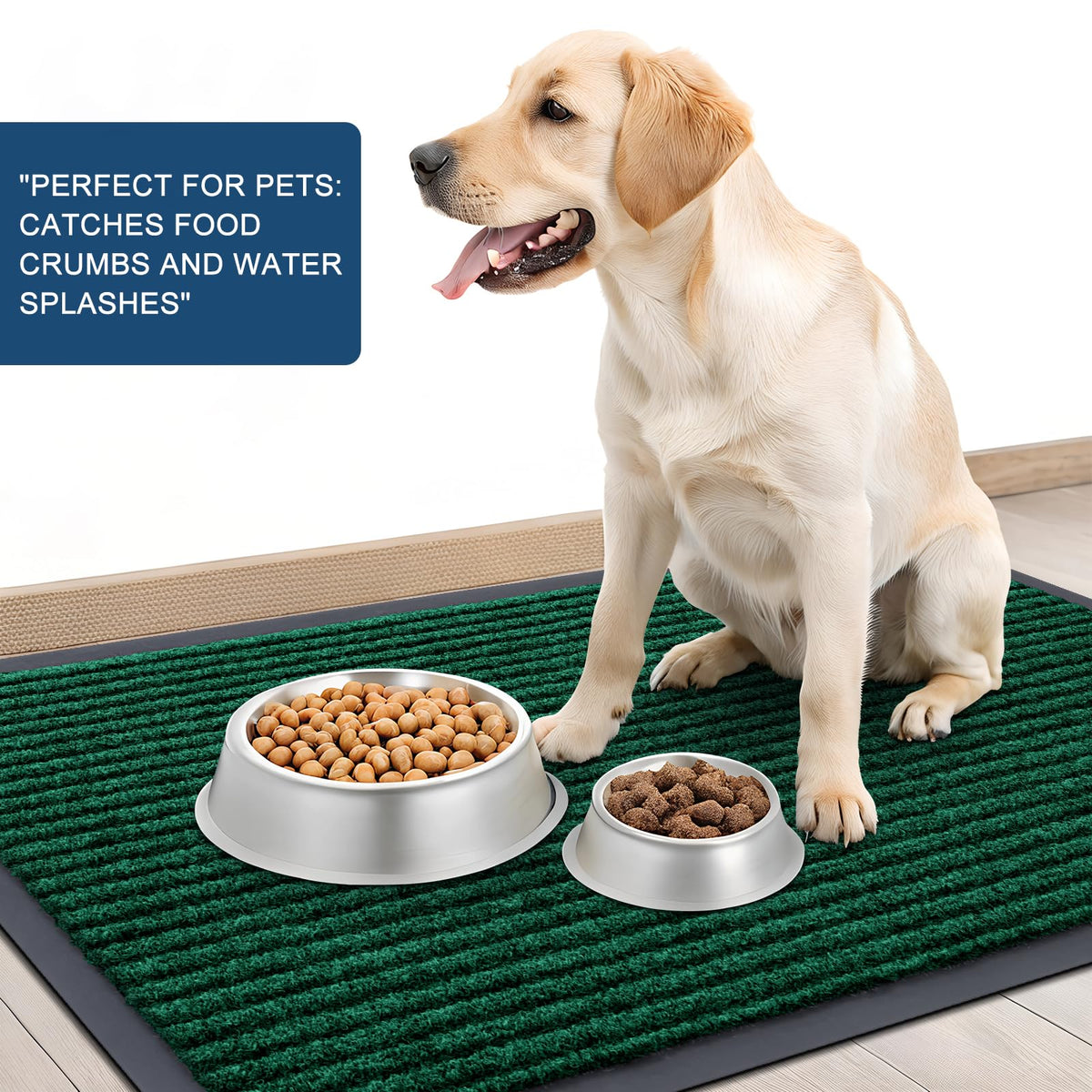 Front Door Mat 35x30
