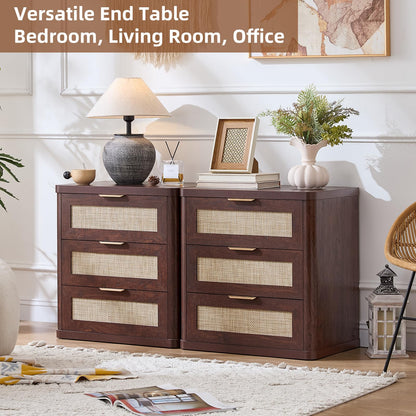 Rattan 23" Nightstands with Drawers for Bedroom
