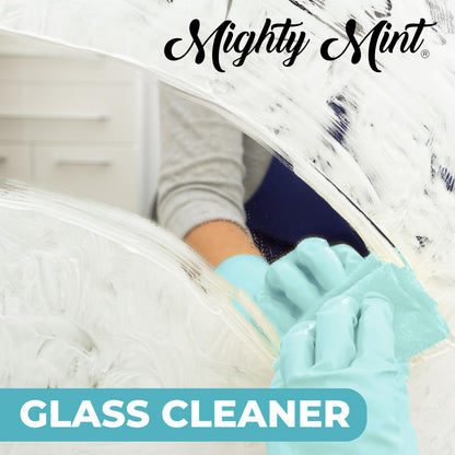 Glass Cleaner (16 Fl Oz)