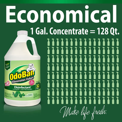 Ready-to-Use Disinfectant and Odor Eliminator, Set of 3, 4 Ounce Travel Spray, 32 Ounce Spray, 1 Gallon Concentrate, Original Eucalyptus Scent (164 Fl Oz)
