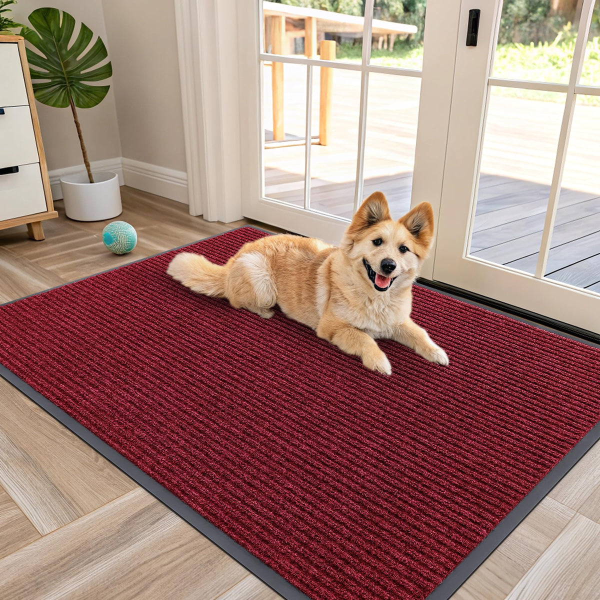 Front Door Mat 47x30