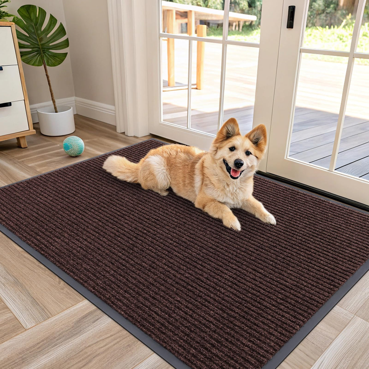 Front Door Mat 47x30