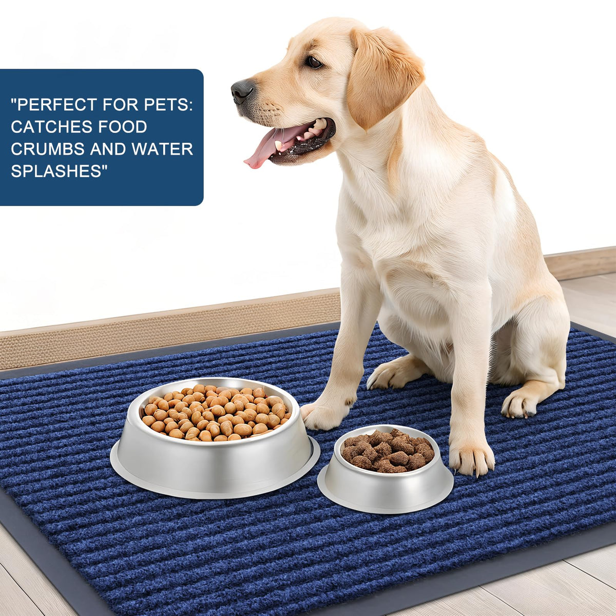Front Door Mat 71x30