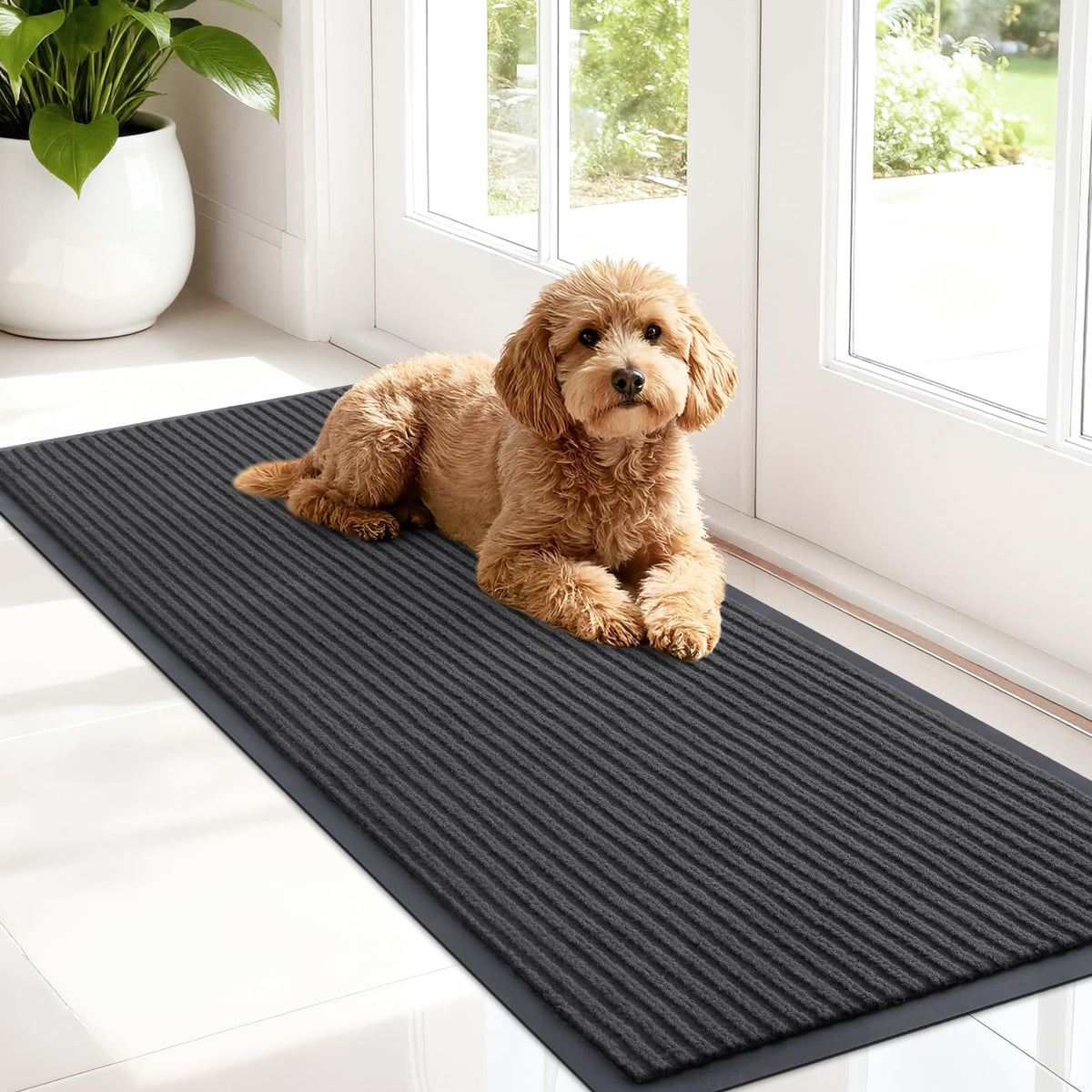 Front Door Mat 47x17
