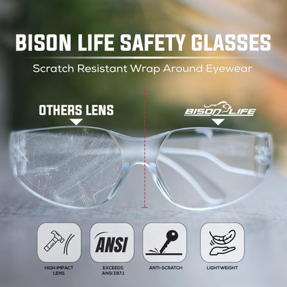 Clear Lens Pink Temple Safety Glasses Bulk 6 Pack (6 Count)