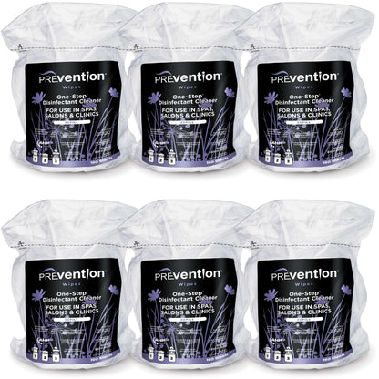 All Purpose Disinfecting Wipes (6 Count)